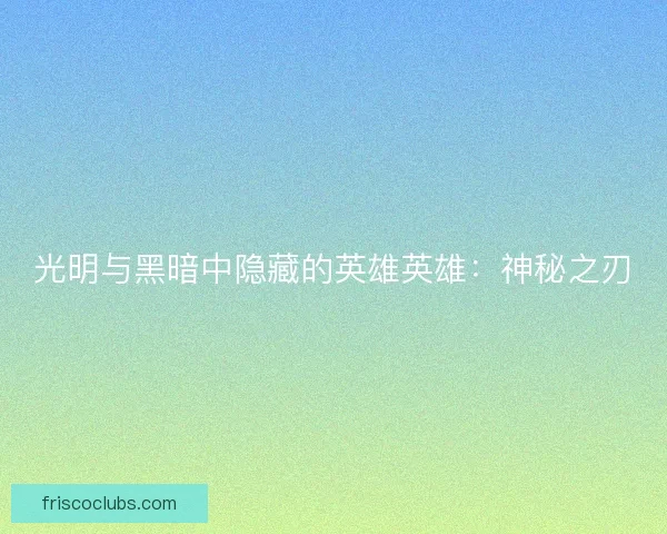 光明与黑暗中隐藏的英雄英雄：神秘之刃