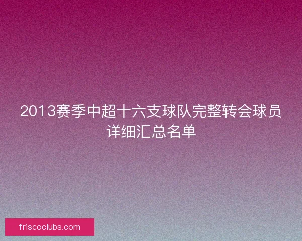 2013赛季中超十六支球队完整转会球员详细汇总名单