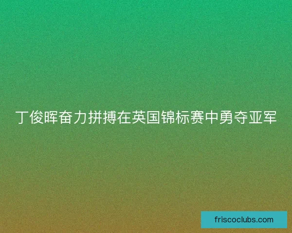 丁俊晖奋力拼搏在英国锦标赛中勇夺亚军